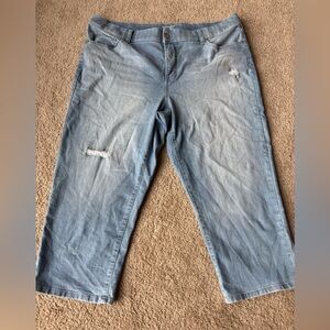 Terra & Sky Denim Blue Jeans